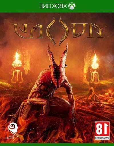Agony Spel - Horror Game - Overleven in Grot - Visueel Indrukwekkend - 17.2 x 13.5 x 1.4 cm - N.v.t.