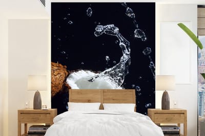 Behang - Fotobehang Kokosnoot - Stilleven - Water - Zwart - Fruit - Breedte 165 cm x hoogte 220 cm
