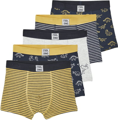 Vertbaudet Set van 5 stretch jongensboxers Dino