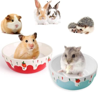Konijnenvoerbakken set van 2, keramische voederschaal voor konijnen en hamsters, ideale trays voor kleine knaagdieren en huisdieren (rood en blauw)