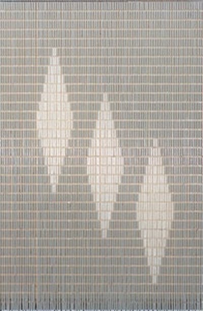 Vliegengordijnexpert Vliegengordijn 3 punten Hulzen - 90x210 cm -zilver metalic , transparant