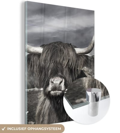 MuchoWow® Glasschilderij 120x160 cm - Schilderij acrylglas - Schotse Hooglander - Dieren - Hoorns - Foto op glas - Schilderijen