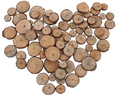 WiseGoods Premium Decoratie Boomschijven Van Hout -Boomschors Schijfjes 30 Stk - 1-3CM - Hobby - DIY - Knutselen - Woondecoratie
