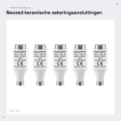 Dailygoods - Neozed keramische zekeringaansluitingen - Type 16 A - Bescherming van kabels - 500 VAC - Type gG - Betrouwbare veiligheidsoplossing -...