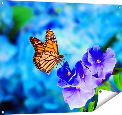Gards Tuinposter Oranje Vlinder bij Paarse Bloemen - 100x80 cm - Tuindoek - Tuindecoratie - Wanddecoratie buiten - Tuinschilderij