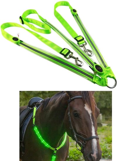 Harnas voor paarden met hoge zichtbaarheid en verstelbare veiligheidsuitrusting - Paarden verzorging - Ruitersport.