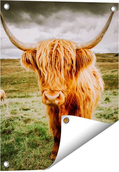 Gards Tuinposter Schotse Hooglanders in de Wei - Kleur - 40x50 cm - Tuindoek - Tuindecoratie - Wanddecoratie buiten - Tuinschilderij