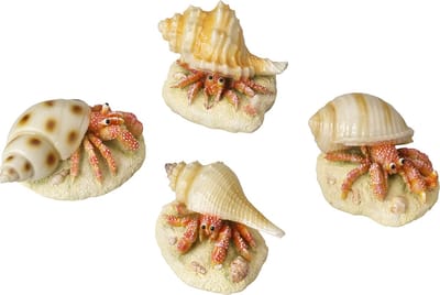 Aqua Della - Aquariumdecoratie - Vissen - Heremietkreeft Assorti 9,3x6x4,9cm - 1st