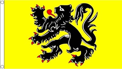 Go Go Gadget - Vlaamse vlag - 90x150cm - Vlaanderen
