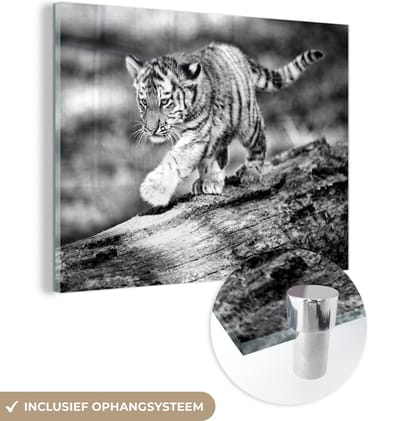 MuchoWow® Glasschilderij 80x60 cm - Schilderij acrylglas - Tijger - Boom - Welp - Zwart - Wit - Foto op glas - Schilderijen