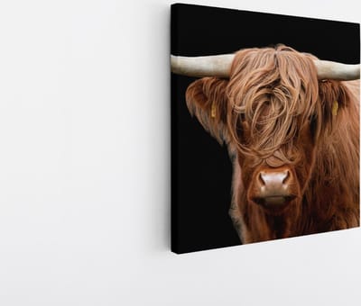 Saammp Canvas Schilderij - Schotse Hooglander Koe - Natuur - Dieren - Portret - 20x20 - Foto op canvas - Wanddecoratie - muurdecoratie Woonkamer - Slaapkamer decoratie - Canvas Print