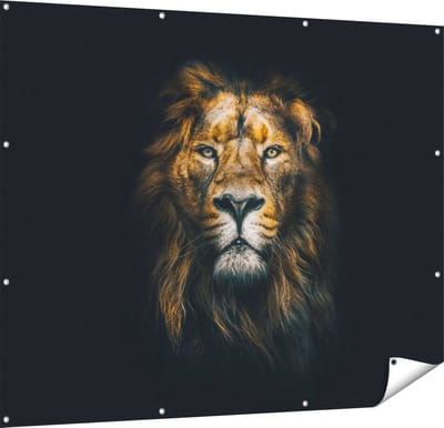 Gards Tuinposter Leeuw - Leeuwenkop - Kleur - 150x120 cm - Tuindoek - Tuindecoratie - Wanddecoratie buiten - Tuinschilderij