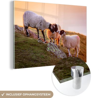 MuchoWow® Glasschilderij 30x20 cm - Schilderij acrylglas - Schapen - Dieren - Zonsondergang - Foto op glas - Schilderijen