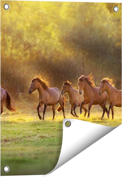 Gards Tuinposter Kudde Bruine Paarden in de Wei - 40x50 cm - Tuindoek - Tuindecoratie - Wanddecoratie buiten - Tuinschilderij
