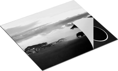 Chefcare Inductie Beschermer Olifant in de Savanne - Zwart Wit - 60x50 cm - Afdekplaat Inductie - Kookplaat Beschermer - Inductie Mat