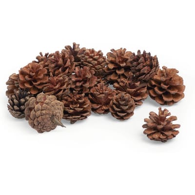 VBS Dennenappels, 250 g