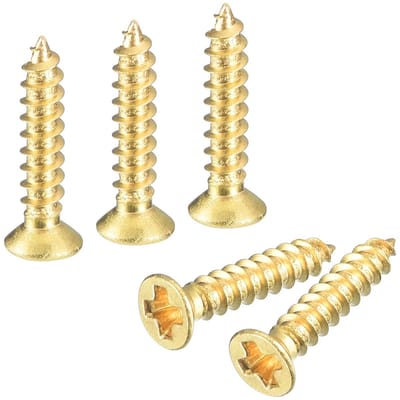 Houtschroeven, M2 x 10 mm Phillips platte kop, zelftappende schroef, houtwerkschroef voor deurscharnieren, houten meubels, huishoudelijke apparaten