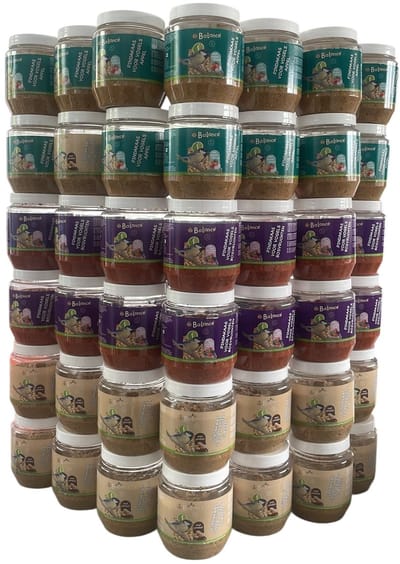 Voedzame Vogelpindakaas 36x | 12x Klassiek + 12x Bosbessen + 12x Klassiek Appel | Universele Plastic Potjes