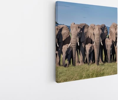 Saammp Canvas Schilderij - Grote Olifanten Familie - Afrika - Dieren - 20x20 - Foto op canvas - Wanddecoratie - muurdecoratie Woonkamer - Slaapkamer decoratie - Canvas Print