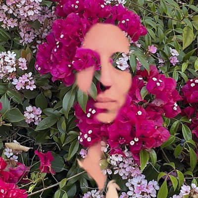 Hildegard Von Bingen: You Are the Flower