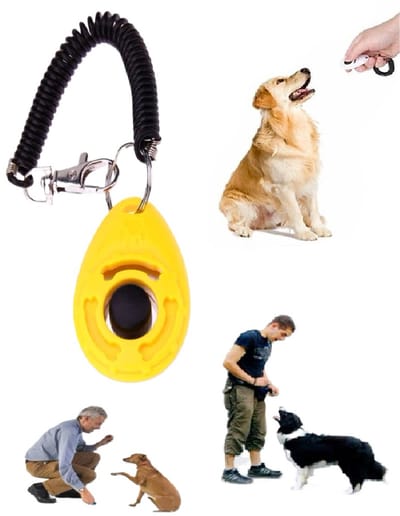 Clicker Hondentraining I Clicker Voor Training Hond Diervriendelijke Training Hond I Incl. Elastische Bevestigingskoord I Geel
