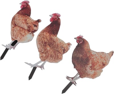 Kippen Tuindecoratie - Dieren Figuren - Buiten Versieren - Duurzaam Acryl Materiaal - Set van 3 Stuks - Kleurrijk