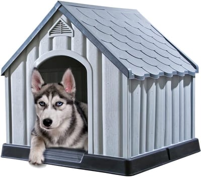 CLVP® Hondenhok Buiten – Weersbestendige Kennel – Stevig Hondenhuis – Pro