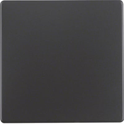 Hager Berker Q.1/Q.3 Schakelelement/Centrale plaat - 16206086 [2 stuks]