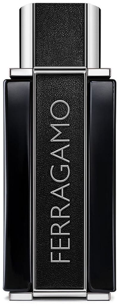 Herenparfum Salvatore Ferragamo FERRAGAMO SUBLIME LEATHER EDP 100 ml