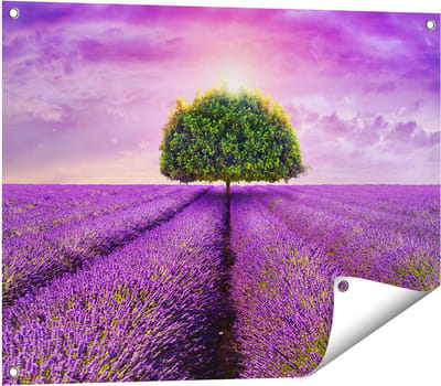 Gards Tuinposter Groene Boom in de Lavendel Bloemen - 80x60 cm - Tuindoek - Tuindecoratie - Wanddecoratie buiten - Tuinschilderij