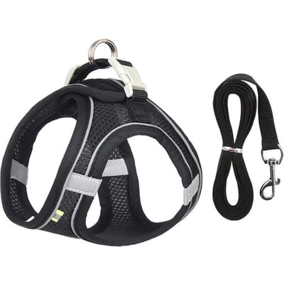 Harnais et Laisse Anti-Évasion pour Chat Ensemble Harnais en Maille Réglable pour Chien Gilet Harnais pour Chiots Animaux de Compagnie Laisse de Promenade pour Petits Chiens Chats Chatons Xxs Décor XXS noir