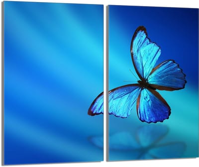 TMK ArtDeko - Glazen Beschermplaat - Motief - 2x30x52 cm - Veiligheidsglas