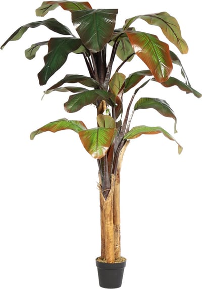 Kunst Rode Bananenboom Maurelli | 200cm - Namaak bananenboom - Kunstplanten voor binnen - Bananen kunstboom