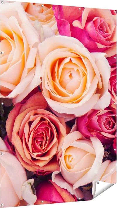 Gards Tuinposter Roze Rozen Achtergrond - Bloemen - 120x180 cm - Tuindoek - Tuindecoratie - Wanddecoratie buiten - Tuinschilderij