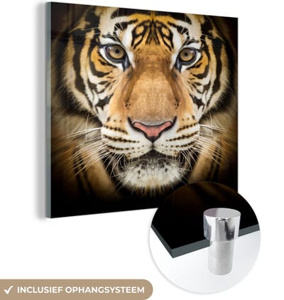MuchoWow® Glasschilderij 50x50 cm - Schilderij acrylglas - Tijger - Dier - Portret - Foto op glas - Schilderijen