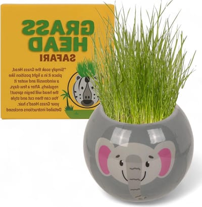 Allecto Plus - Graskop plantenset met aarde en graszaad 65 cm kunststof pot, knutselen en planten, doe-het-zelf decoratie, kinderen en volwassenen, olifant safari.