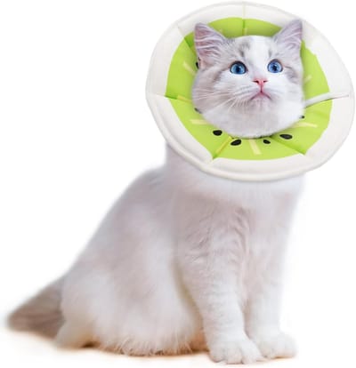 Kattenhalsband Geel - Verstelbaar, Comfortabel en Duurzaam voor Kleine Katten