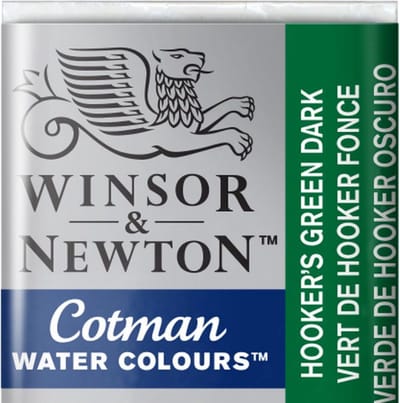 Winsor & Newton 0301312 watergedragen verf Groen Stokjes 1 stuk(s)