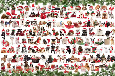 Eurographics - Vakantiehonden Blik [Holiday Dogs Tin] - 1000 stukjes 68×48cm (b×h)