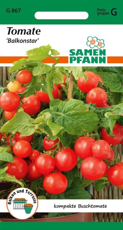 Tomaat, struiktomaat, balkonster - groentezaden, tomatenzaden