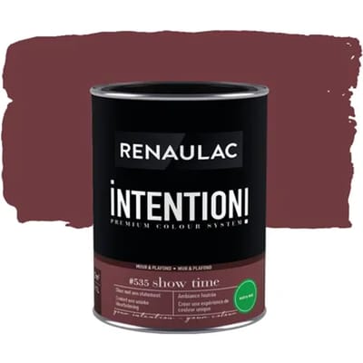 Renaulac Intention Muurverf - Extra Mat - Show Time - 1l