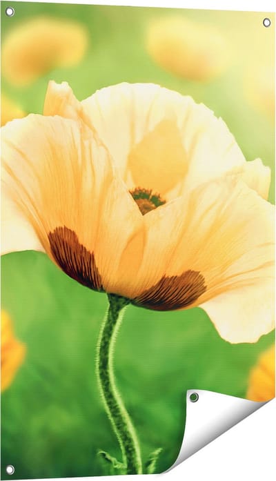 Gards Tuinposter Oranje Klaproos Bloemen - 60x90 cm - Tuindoek - Tuindecoratie - Wanddecoratie buiten - Tuinschilderij