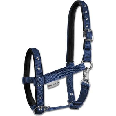 WALDHAUSEN VEULENHALSTER COMFORT Donkerblauw