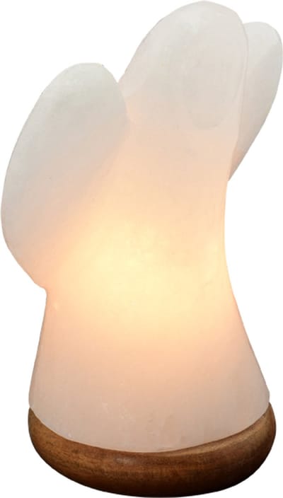 Himalaya Salt Dreams, ZoutLamp Engel op Houten voet, Wit, 46231, ca19 cm hoog