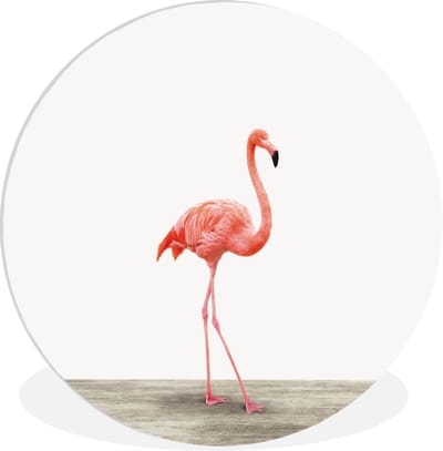 Wandcirkel dieren - Schilderij voor kinderen - Flamingo - Vogels - Dieren - Kinderkamer decoratie - Wanddecoratie meisjes - Jongens - 30x30 cm - Kunststof
