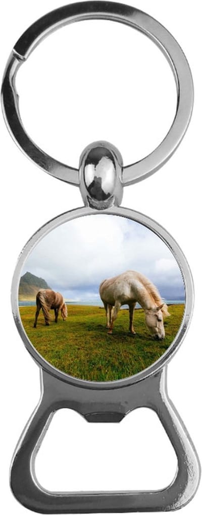 Bieropener Glas - Paarden