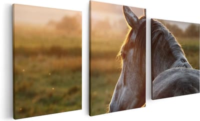 Artaza Canvas Schilderij Drieluik Paard In De Weide Tijdens Zonsondergang - 120x60 - Foto Op Canvas - Canvas Print