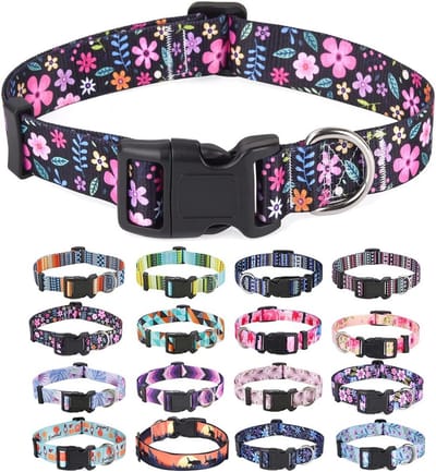 Verstelbare hondenhalsband met bloemmotieven - Geschikt voor kleine, middelgrote en grote honden