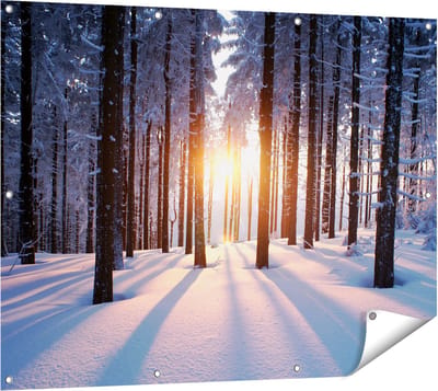 Gards Tuinposter Bos met Sneeuw tijdens de Zonsondergang - 120x90 cm - Tuindoek - Tuindecoratie - Wanddecoratie buiten - Tuinschilderij