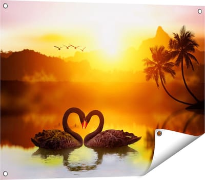 Gards Tuinposter Twee Zwarte Zwanen in een Hart Vorm - 80x60 cm - Tuindoek - Tuindecoratie - Wanddecoratie buiten - Tuinschilderij